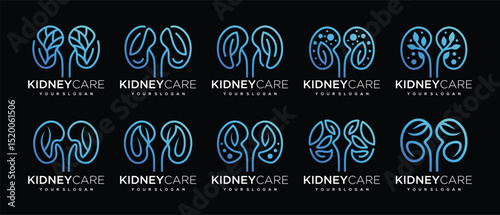 Collection of nature kidney logo designs. Kidney internal organ logo design vector icon made with lines and leaves