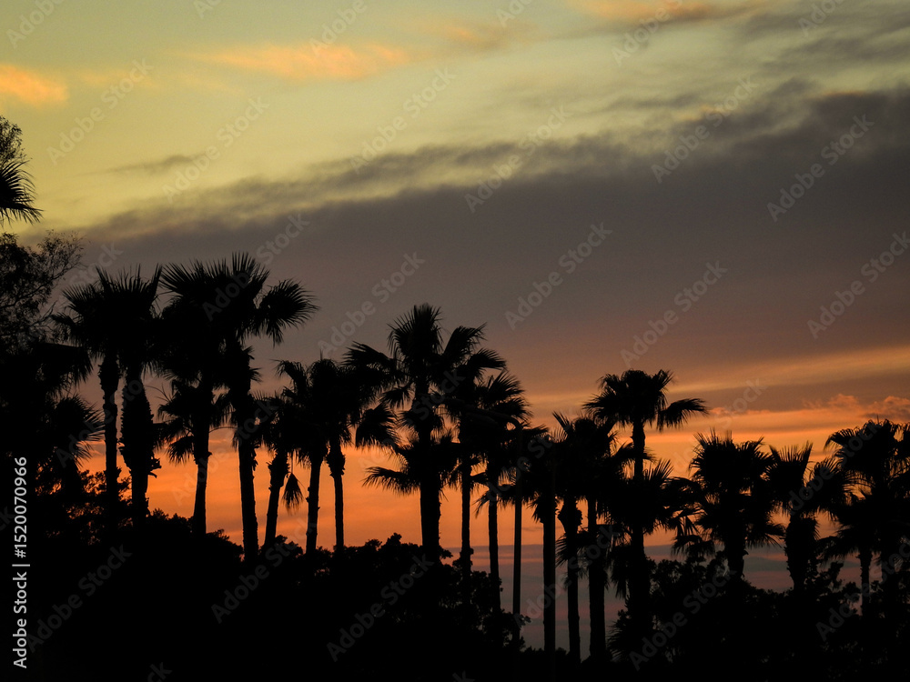 Obraz premium sunset over the beach