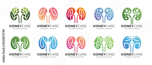 Collection of nature kidney logo designs. Kidney internal organ logo design vector icon made with lines and leaves
