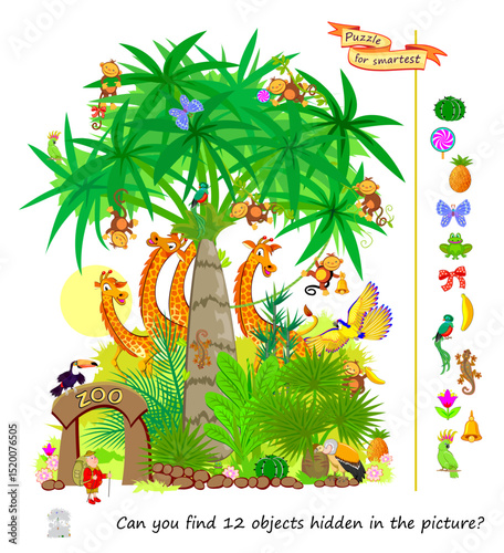 Can you find 12 objects hidden in the picture? Logic puzzle for smartest. Search and find game. Illustration of tropical zoo. Page for kids brain teaser book. Flat vector drawing. IQ test.