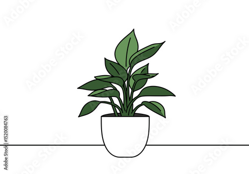 Minimalist green plant in white pot on a clean tabletop  