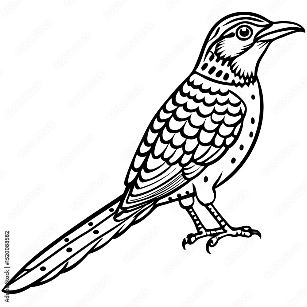 Fototapeta premium Eurasian Wryneck Vector on White