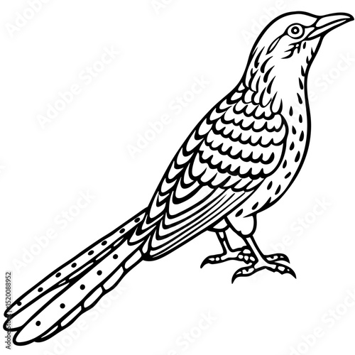 Minimalist Eurasian Wryneck Illustration