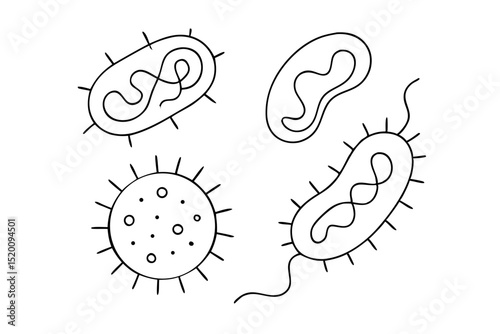 Bacillus, Coccus, Spirillum, and Flagellated Bacteria — Minimalist One Line Vector Illustration for Medical and Scientific Projects

