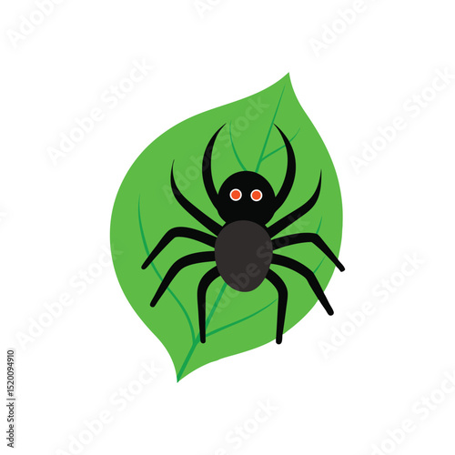 spider crawling on a leaf vector