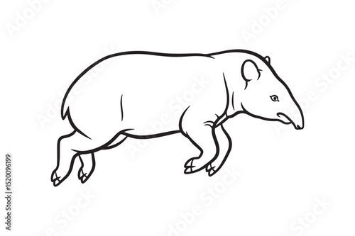 Line Art Illustration of a Tapir Elegant Outline Drawing of a South American Mammal