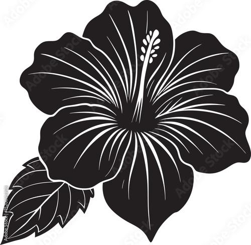 Silhouette of a hibiscus flower on white background