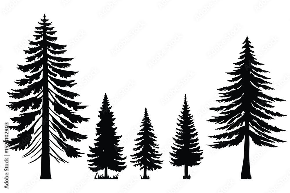 Obraz premium set of pine trees silhouettes vector 