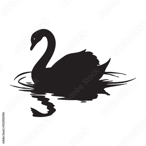 Elegant silhouette illustrations of black swans swimming peacefully with mirrored reflections and flowing water lines
