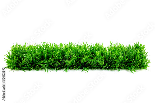Fresh green grass border isolated on transparent background