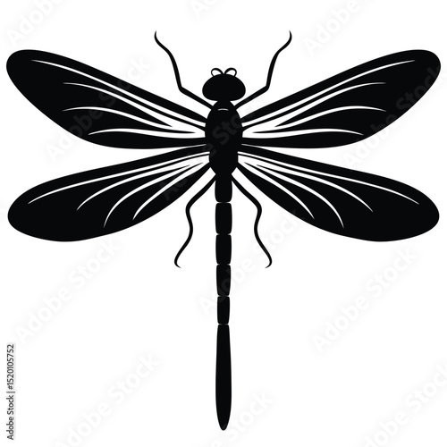 damselfly white background