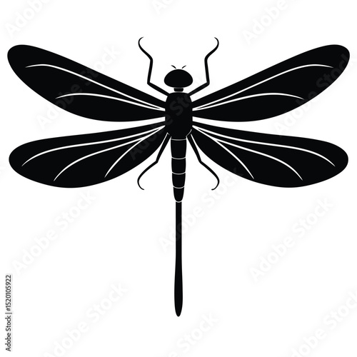 damselfly white background