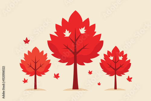 autumn maple tree