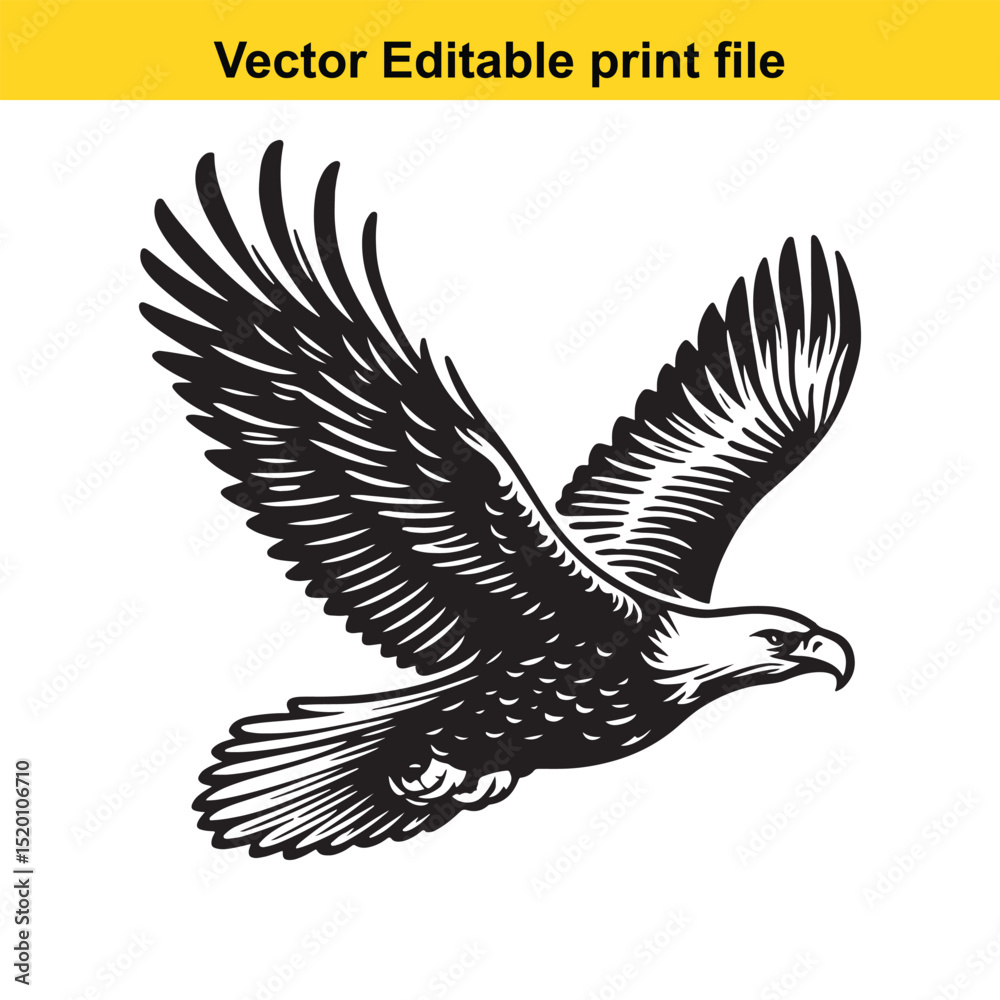Fototapeta premium Majestic Eagle in Flight: A Vector Illustration of a Soaring Bird of Prey