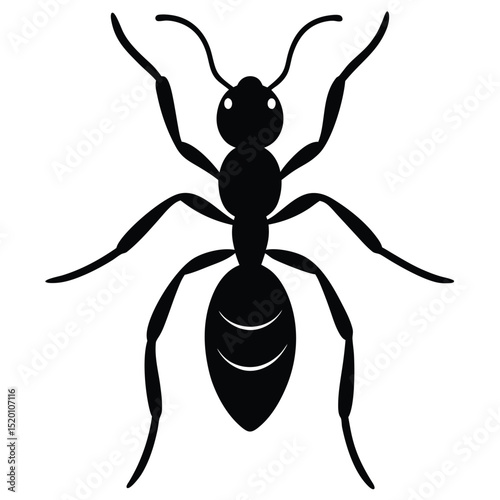 fire ant white background