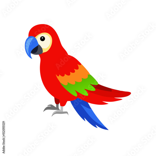Parrot: The Colorful Birds of the Tropics