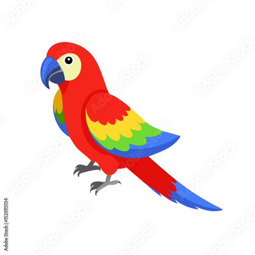 Parrot: The Colorful Birds of the Tropics
