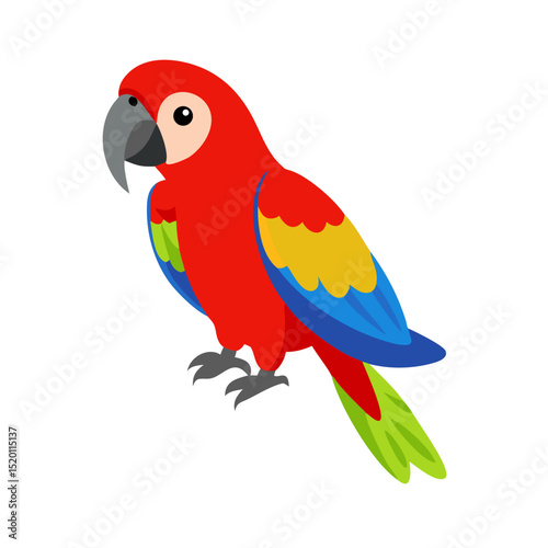 Parrot: The Colorful Birds of the Tropics
