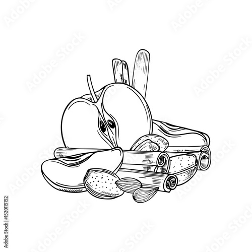 Apple slices, almonds and cinnamon sticks monochrome vector composition. Aromatic seasoning with fresh fruits, nuts, seasoning illustration for food packaging, seasonal menus and cozy winter designs.