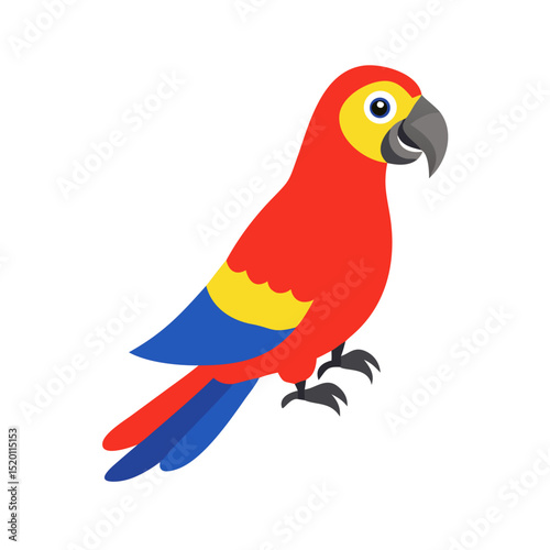 Parrot: The Colorful Birds of the Tropics
