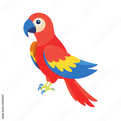 Parrot: The Colorful Birds of the Tropics