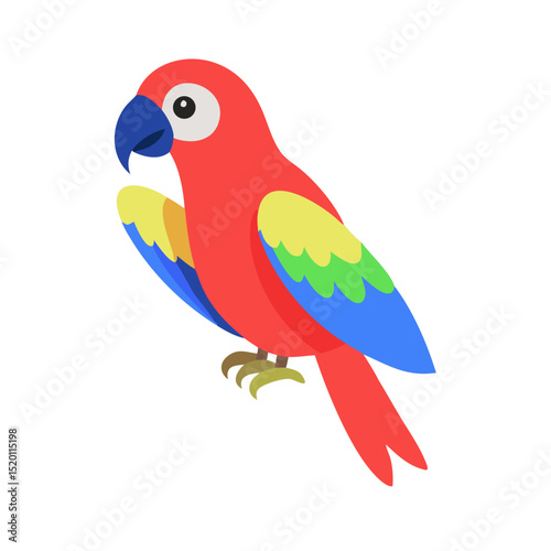 Parrot: The Colorful Birds of the Tropics