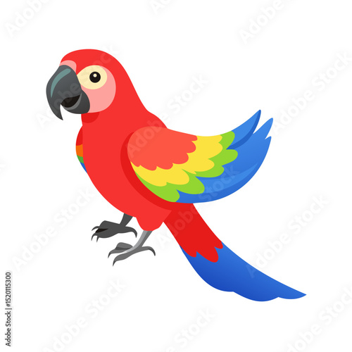 Parrot: The Colorful Birds of the Tropics