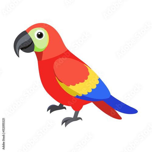 Parrot: The Colorful Birds of the Tropics