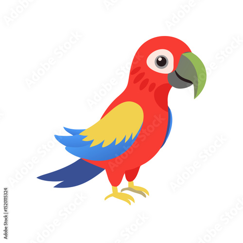 Parrot: The Colorful Birds of the Tropics