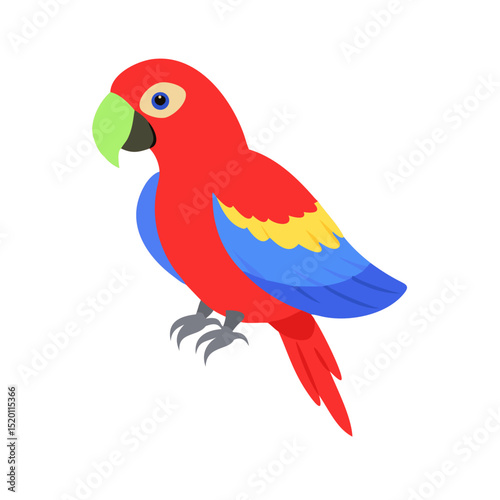 Parrot: The Colorful Birds of the Tropics