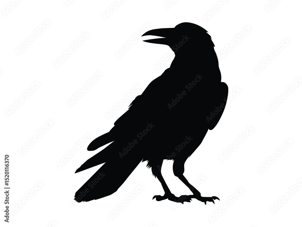 Obraz premium Black Crow Silhouette: Bird, Wildlife, and Nature Icon