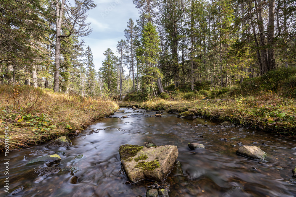 Beautiful high moor landscape in the central swiss alps, where a small stream meanders through the landscape. Glaubenberg, Switzerland. Beautiful high moor landscape in the central swiss alps, where a small stream meanders through the landscape. Glaubenberg, Switzerland.