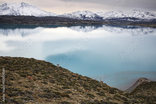 Parque Nacional Perito Moreno