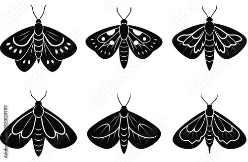 Set of black and white vector silhouette leaf and butterfly illustrations