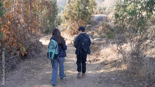 Hikers walking along a path in the woods on a sunny day