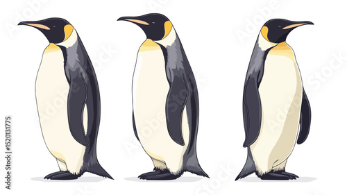 Emperor Penguin Vector Illustration on Isolated Background for Wildlife Designs