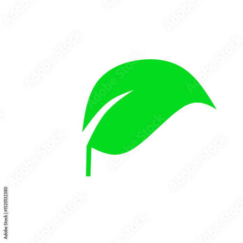 leaf vector