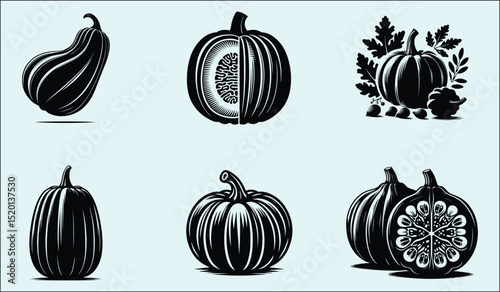 Detailed Acorn Squash Silhouette Illustration with CMYK Colors and Font Variety