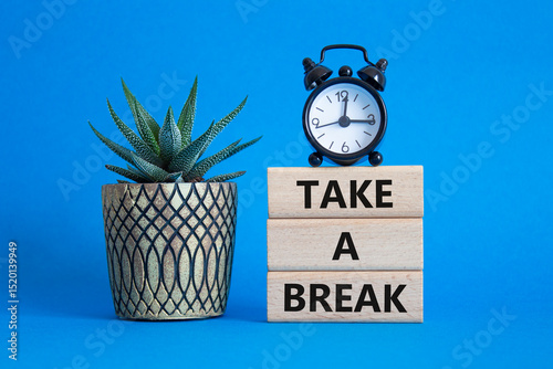 Take a break symbol. Concept words Take a break on wooden blocks. Beautiful blue background with succulent plant and alarm clock. Business and Take a break concept. Copy space.