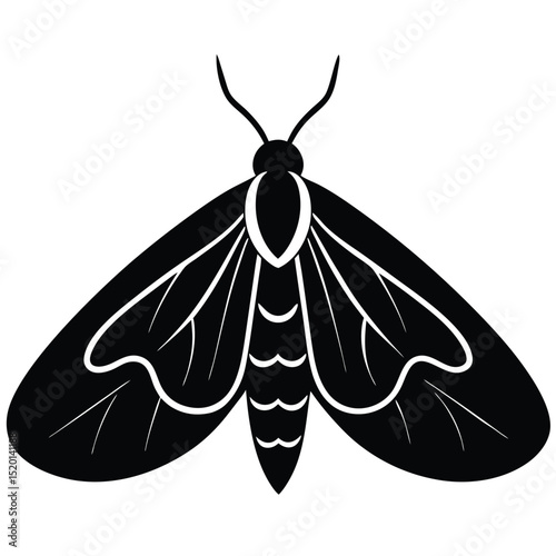 Moth Flat Style Drawing