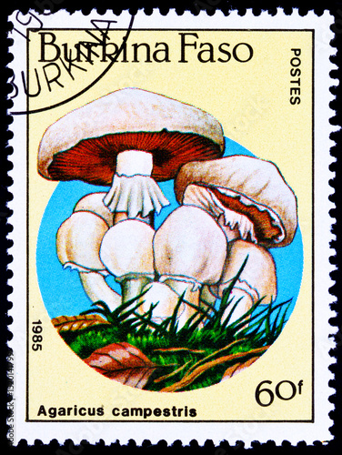 Burkina Faso postage stamp with mushrooms.