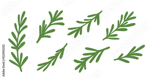 Flat vector rosemary branches collection