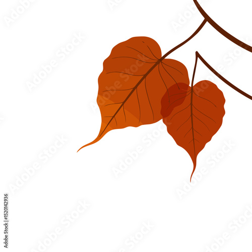 Bodhi Tree Branch, Bo leaves , Sacred fig leaves Vector for Vesak Day – Sacred Buddhist Symbol Illustration