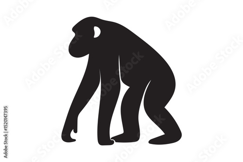 Chimpanzee silhouette on white background.01