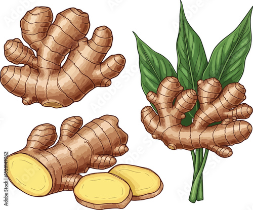 vector illustration of a coin