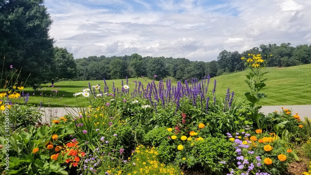 Obraz premium Biltmore Estates - Asheville, North Carolina - Vanderbilt - Gardens 