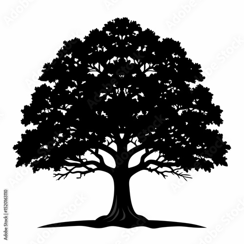 Silhouette of an oak tree isolated on a white background perfect for nature themed designs and ecological illustrations simple and
