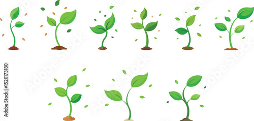 green plant sprout set vector illustration