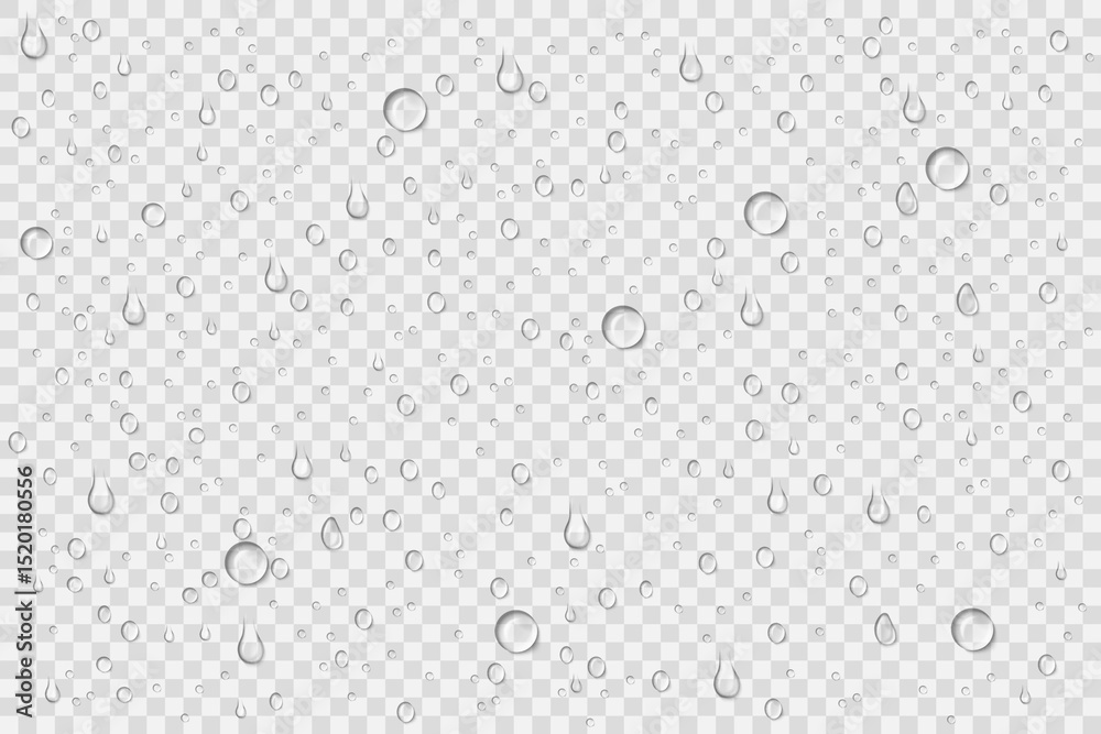 Realistic water drops on transparent background