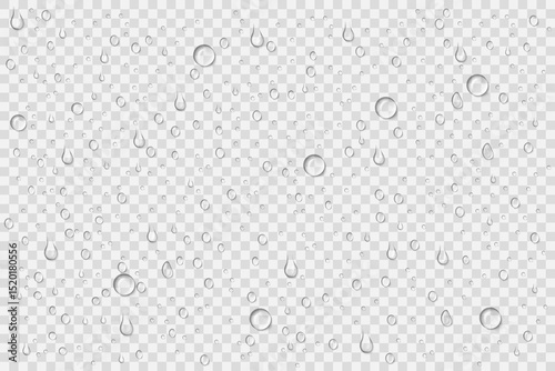 Realistic water drops on transparent background